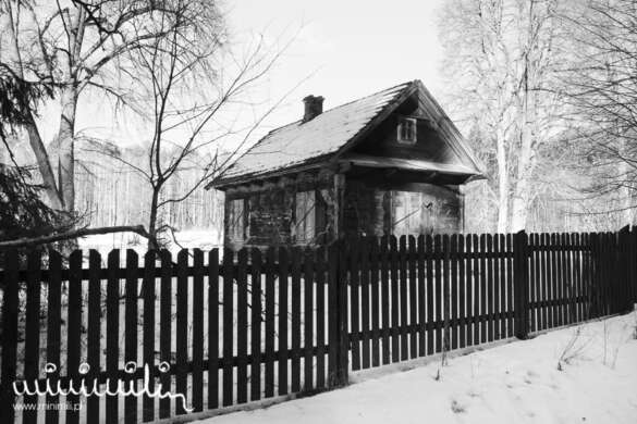_DSC5521
