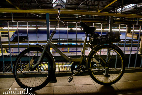 _DSC1407