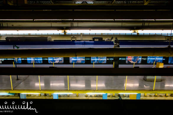 _DSC1415