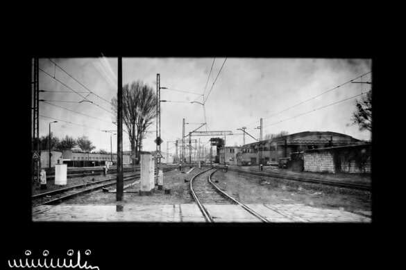 _DSC1525
