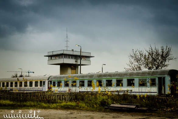 _DSC1678