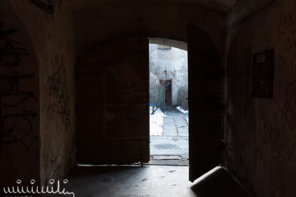 DSC_2090