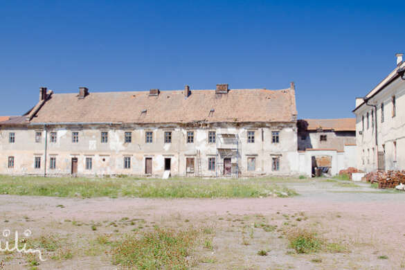 Zamek w Żółkwi
