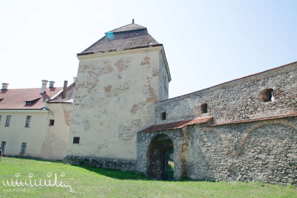 Zamek w Żółkwi