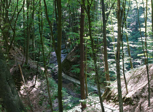 Krechów
