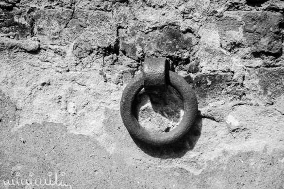 _DSC6646