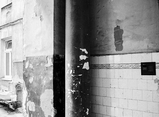 _DSC6695