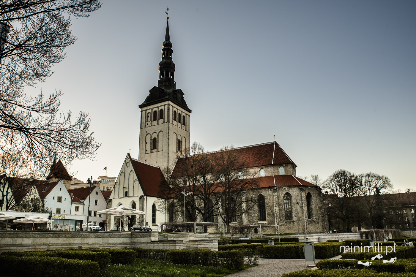 Kościół św. Mikołaja (Niguliste kirik) w Tallinnie widziany od strony parku.