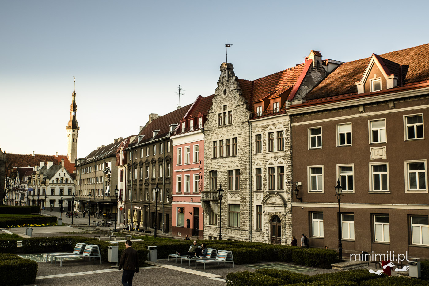 Kolorowe kamienice kupieckie na Starym Mieście w Tallinnie.