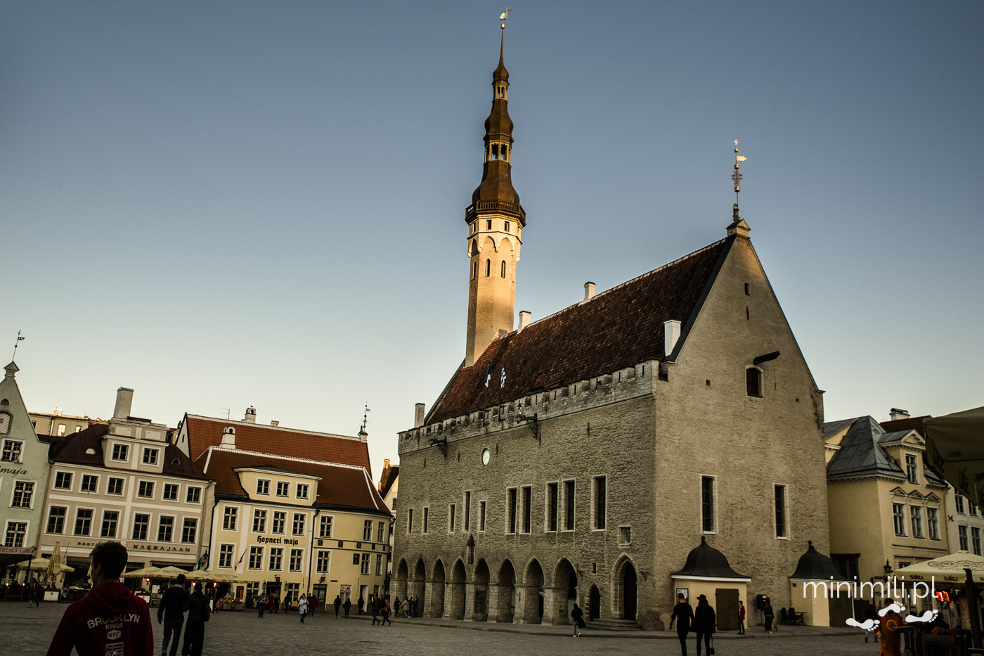 Gotycki ratusz miejski na Placu Ratuszowym w Tallinnie.