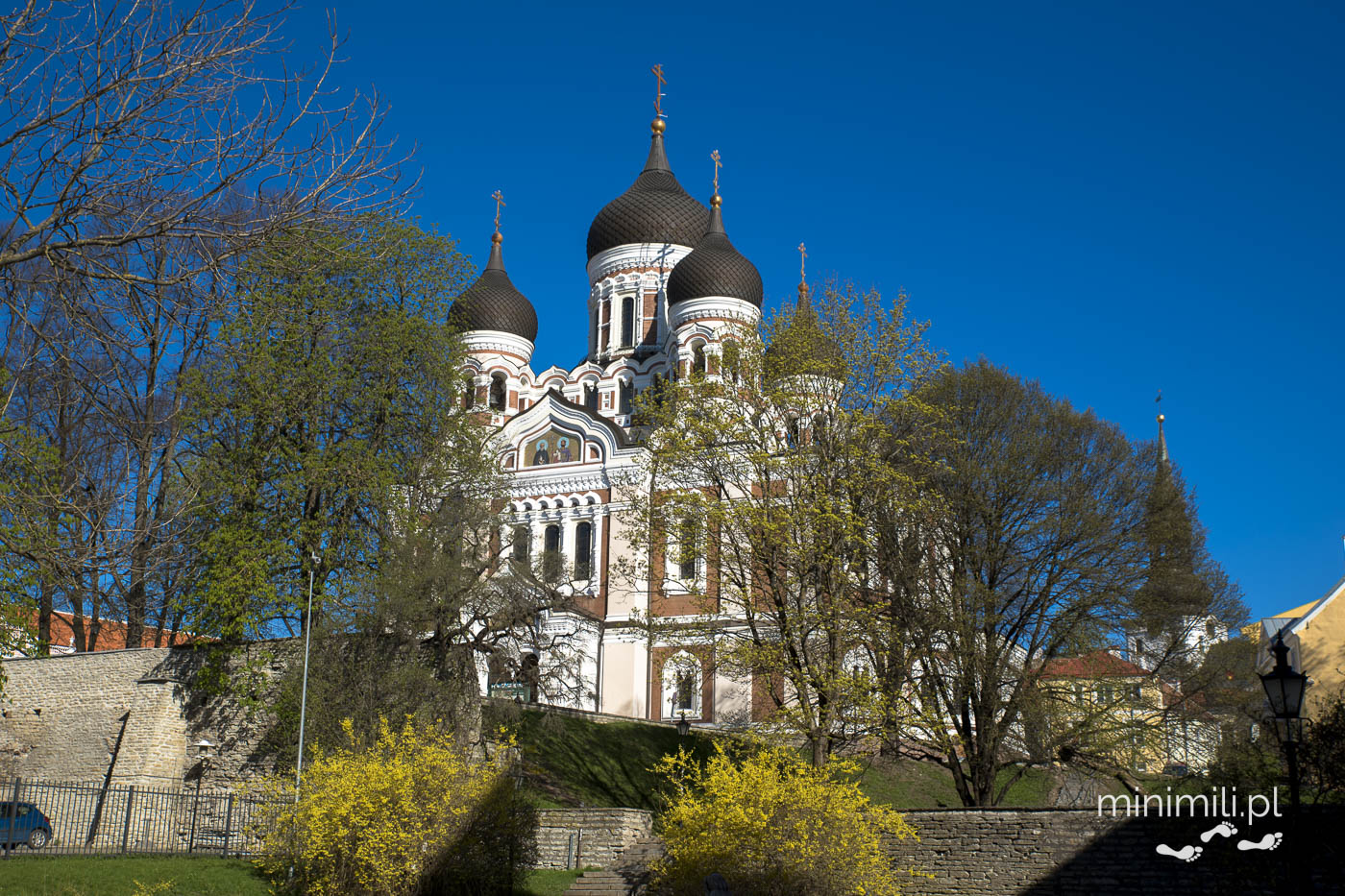 Sobór św. Aleksandra Newskiego na wzgórzu Toompea w Tallinnie.