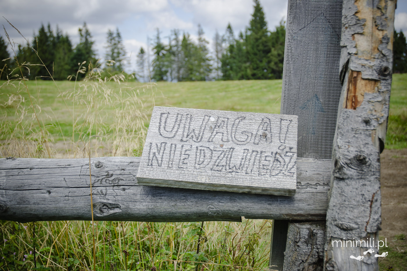 Drewniana tablica z napisem „Uwaga! Niedźwiedź” w Gorcach