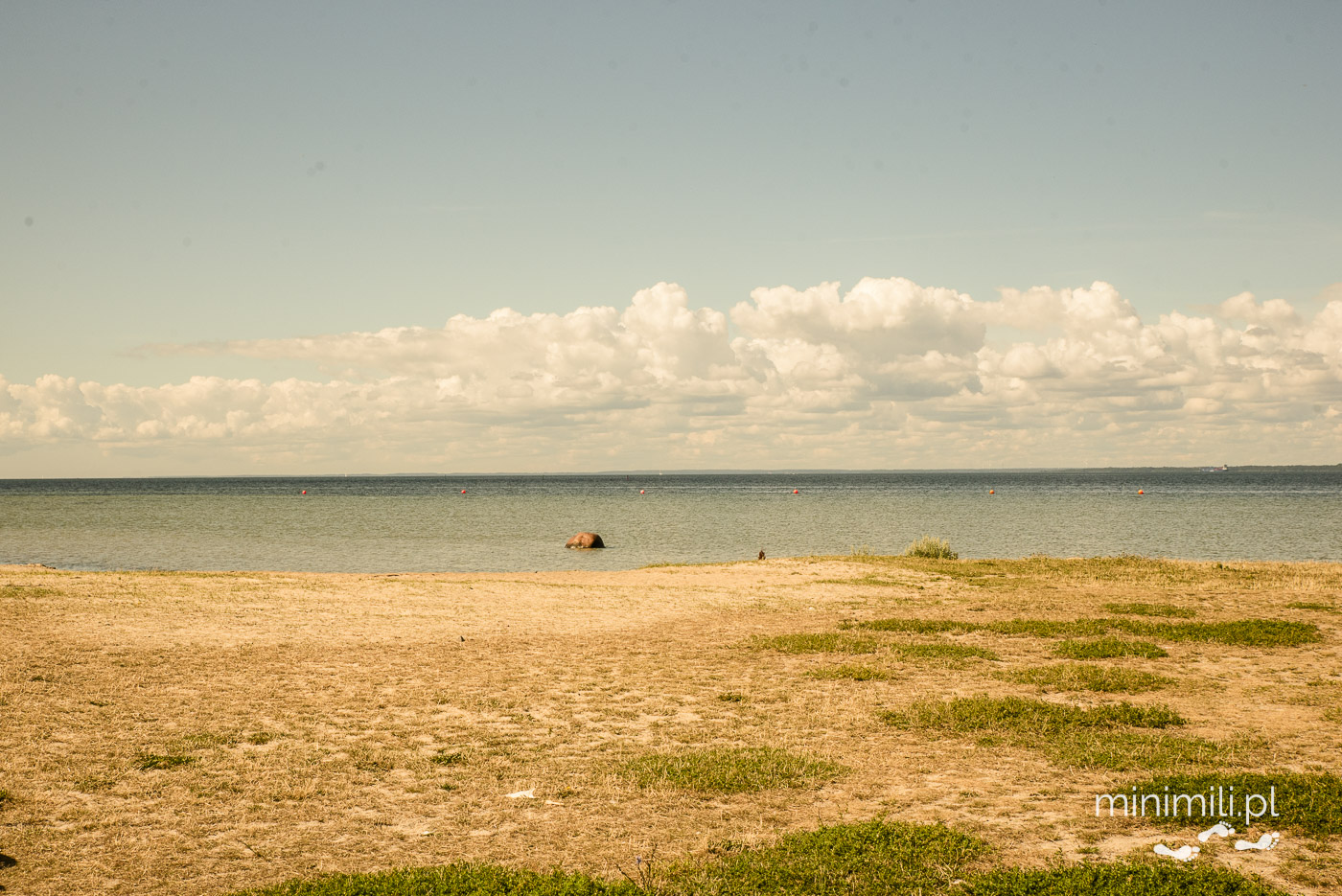 Piaszczysta plaża na Olandii z widokiem na Morze Bałtyckie