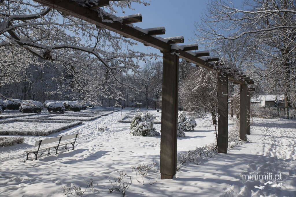 Drewniana pergola w Parku Skaryszewskim przykryta śniegiem
