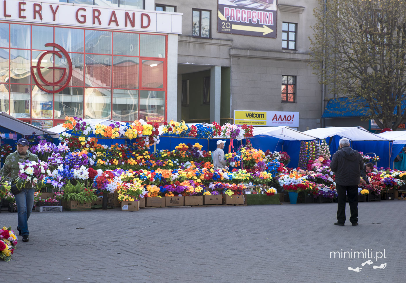 Stragany z kwiatami na targu w centrum Brześcia