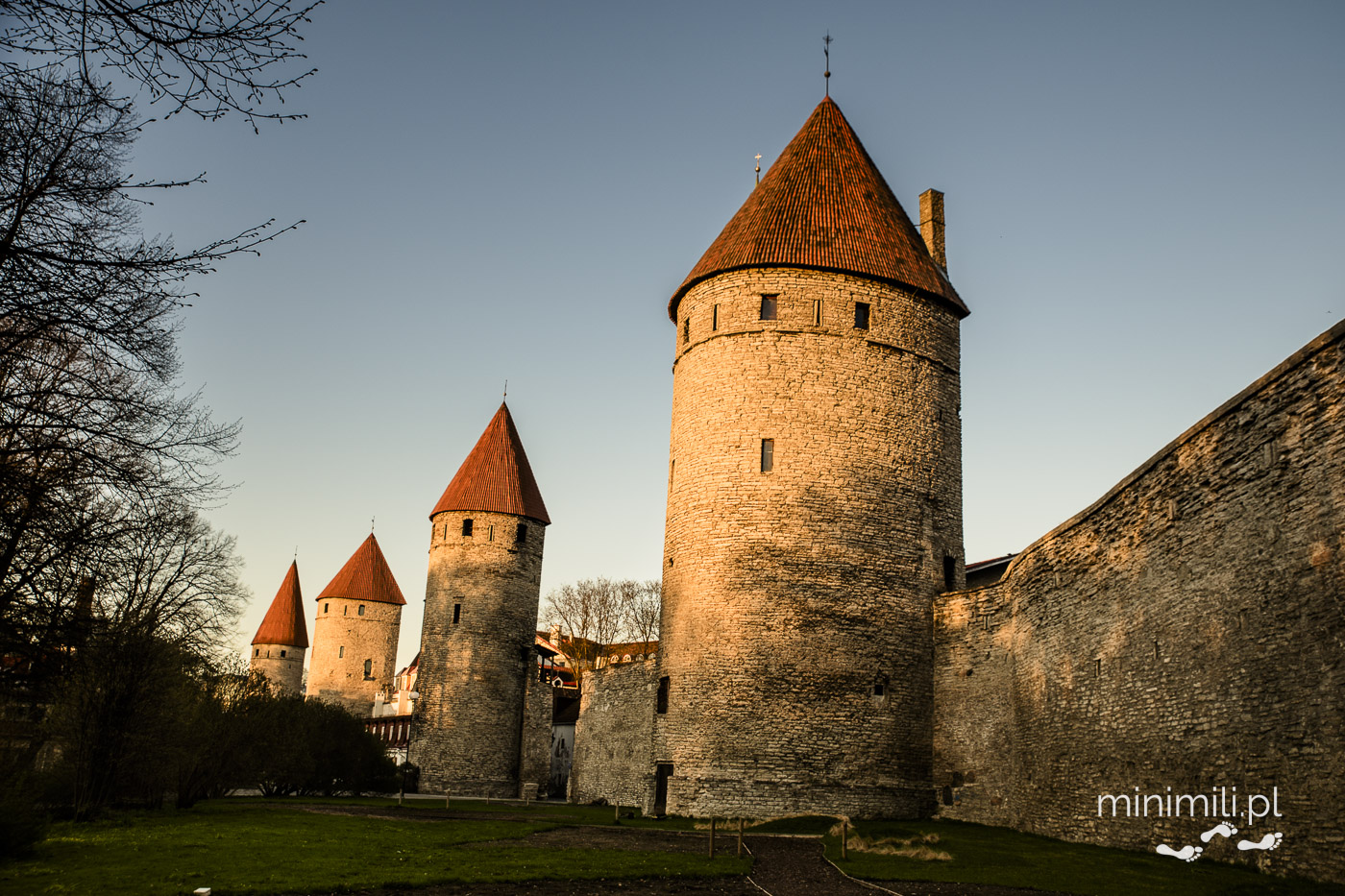 Średniowieczne mury obronne Tallinna z basztami o czerwonych dachach.