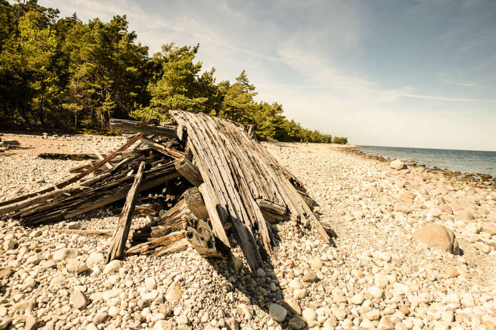 Drewniany wrak łodzi wyrzuconej przez morze na plaży Olandii