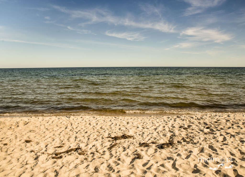Piaszczysta plaża i błękitne morze na wyspie Olandia w Szwecji