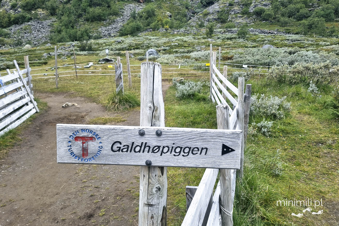 Drewniany drogowskaz wskazujący szlak na Galdhøpiggen w Norwegii