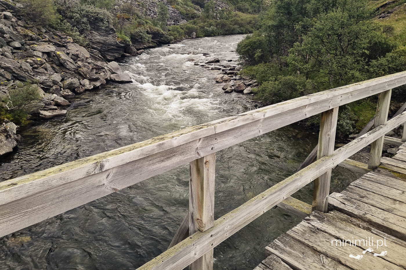 Drewniany mostek nad górskim potokiem w Dovrefjell