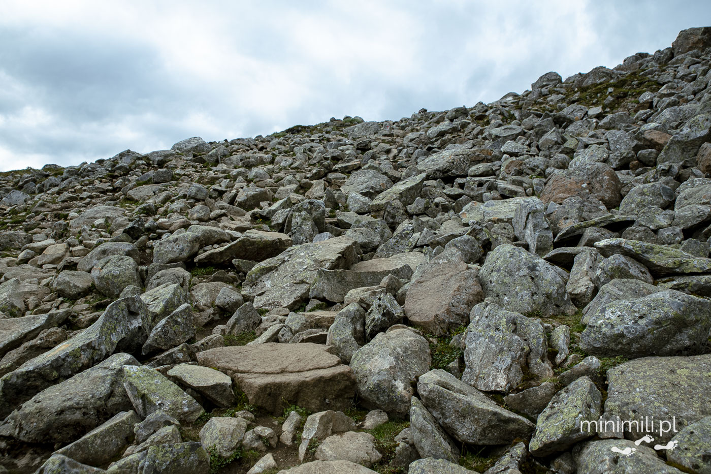 Kamienie i głazy pokrywające ścieżkę trekkingową na Galdhøpiggen