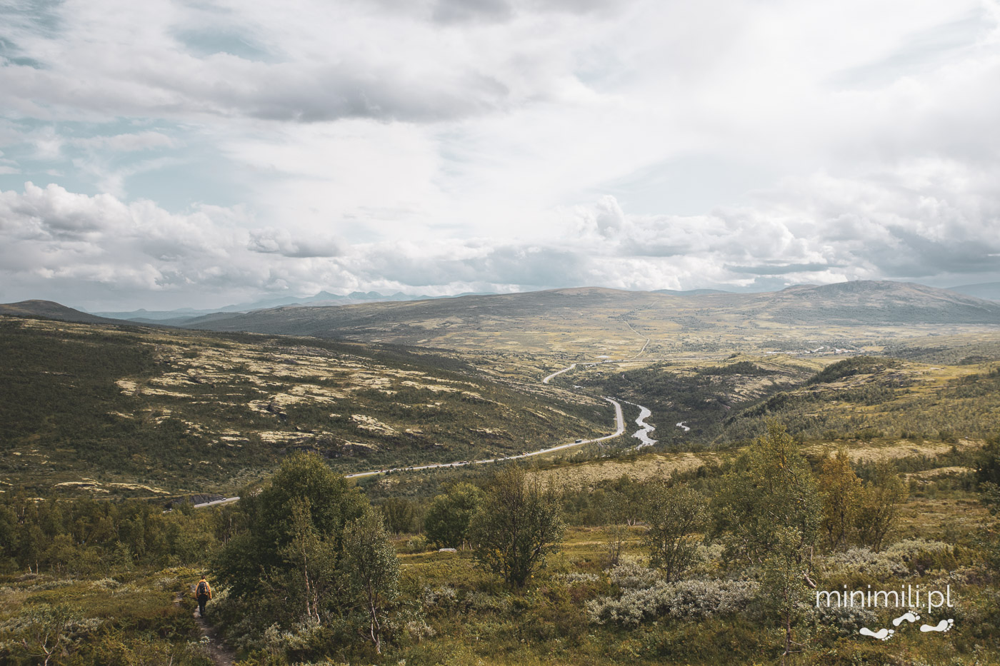 Panoramiczny widok na dolinę z rzeką i drogą przy Dovrefjell