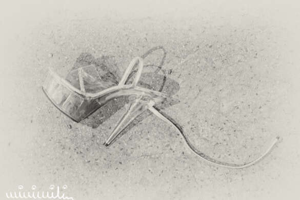 Budapeszt - atrakcje, ceny, zwiedzanie