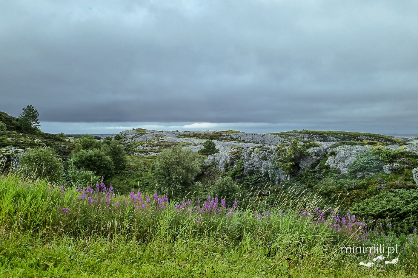 Roślinność i formacje skalne wzdłuż Atlantic Road