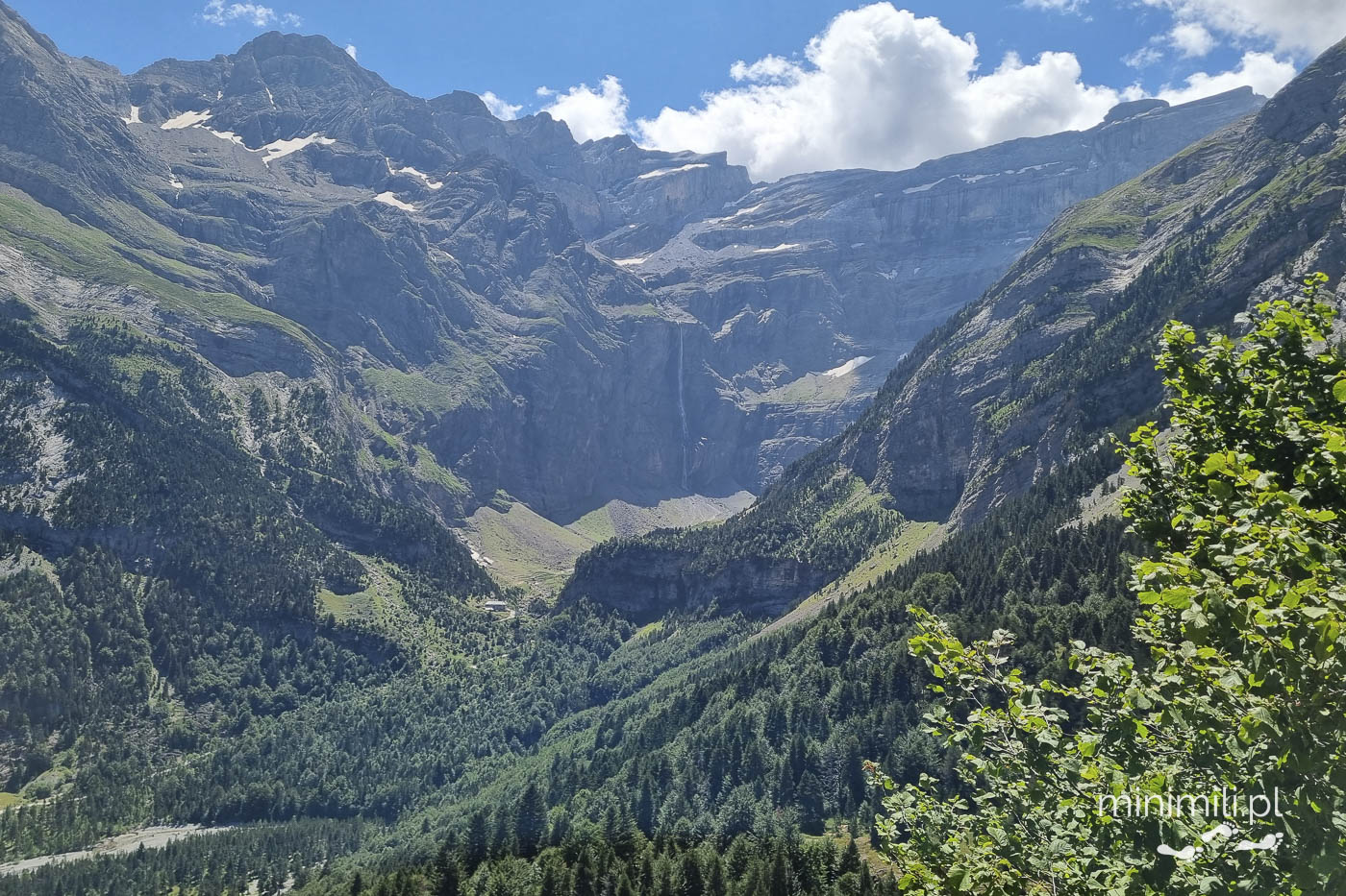 Cirque de Gavarnie widziane przez gęste drzewa w Pirenejach